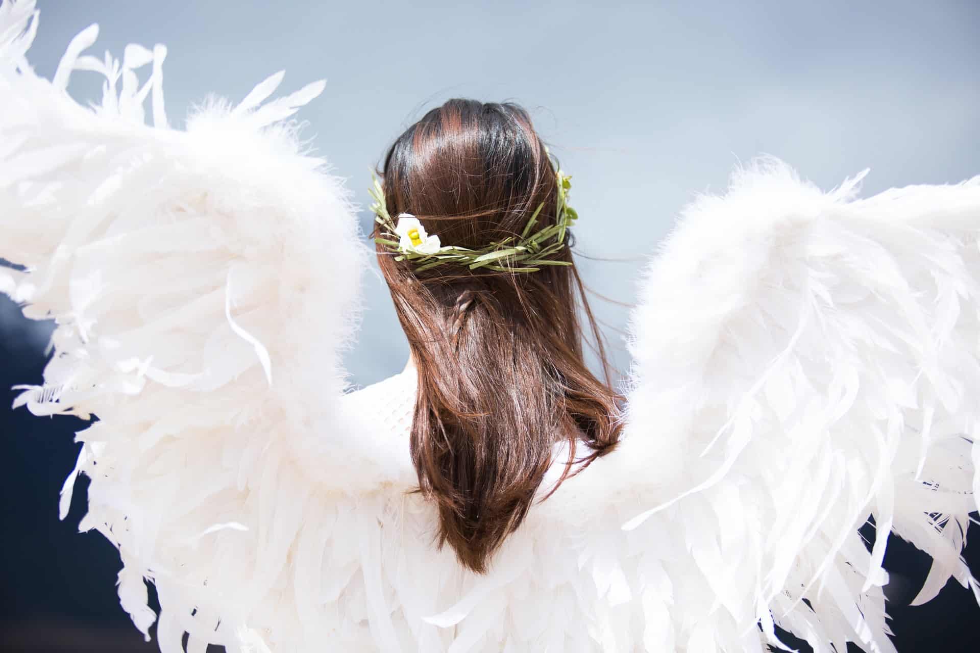 Worried about getting seed money for your startup? Read our article to find out how angel investors can help you launch your dreams.